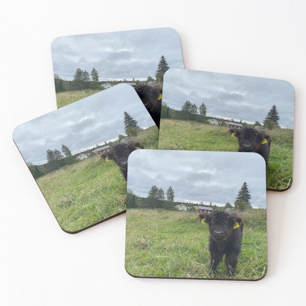Item preview, Scottish Highland Cattle Calf 4062 designed and sold by SaarelaHighland.