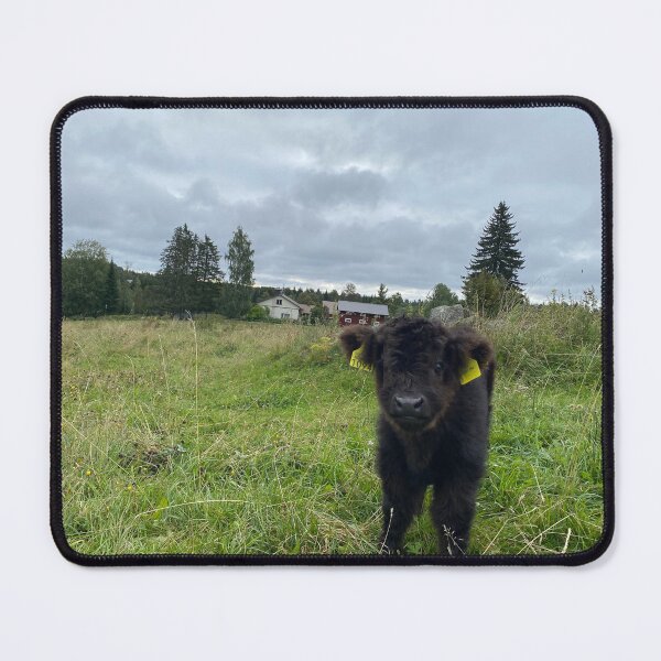 Item preview, Scottish Highland Cattle Calf 4062 designed and sold by SaarelaHighland.