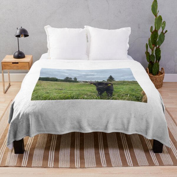 Item preview, Scottish Highland Cattle Calf 4062 designed and sold by SaarelaHighland.