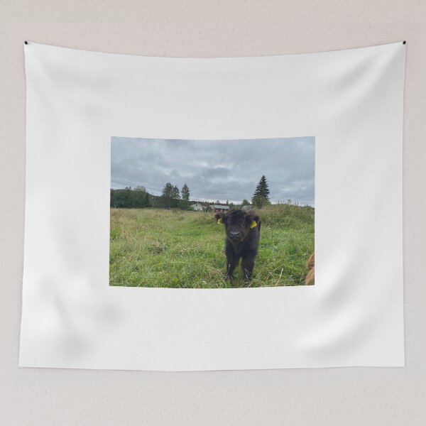 Item preview, Scottish Highland Cattle Calf 4062 designed and sold by SaarelaHighland.