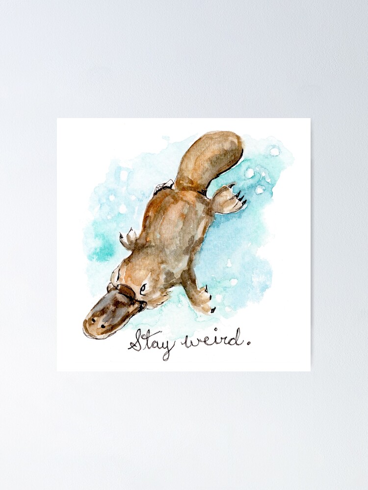 Stay Weird Platypus Watercolor Painting