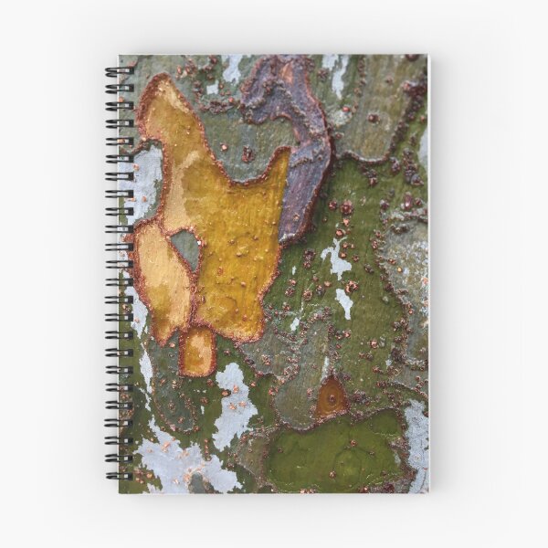 Item preview, Colorful bark  designed and sold by Stellalunna.