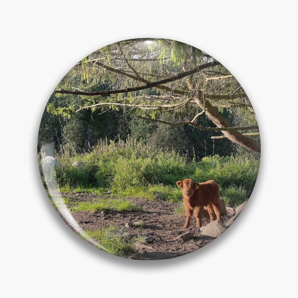 Artikelvorschau, Scottish Highland Cattle Calf 4066 entworfen und verkauft von SaarelaHighland.
