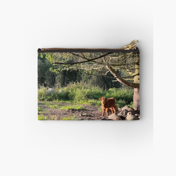 Item preview, Scottish Highland Cattle Calf 4066 designed and sold by SaarelaHighland.