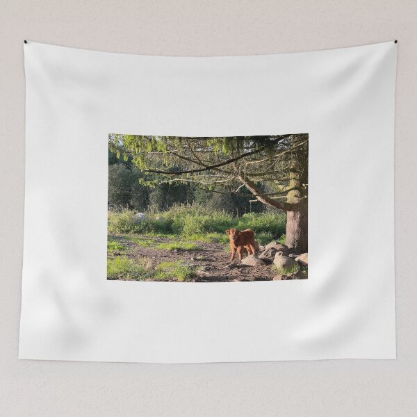 Item preview, Scottish Highland Cattle Calf 4066 designed and sold by SaarelaHighland.