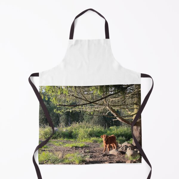 Aperçu de l'œuvre Scottish Highland Cattle Calf 4066 créée et vendue par SaarelaHighland.