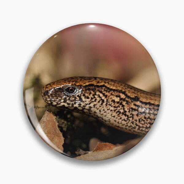 Item preview, Female Slow Worm (legless lizard). designed and sold by Christian Moss.
