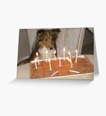 shetland sheepdog birthday Greeting Card