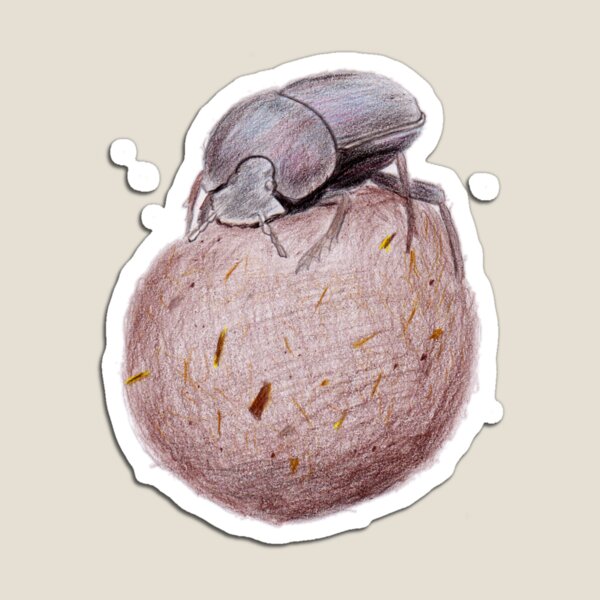 Dung Beetle Magnet