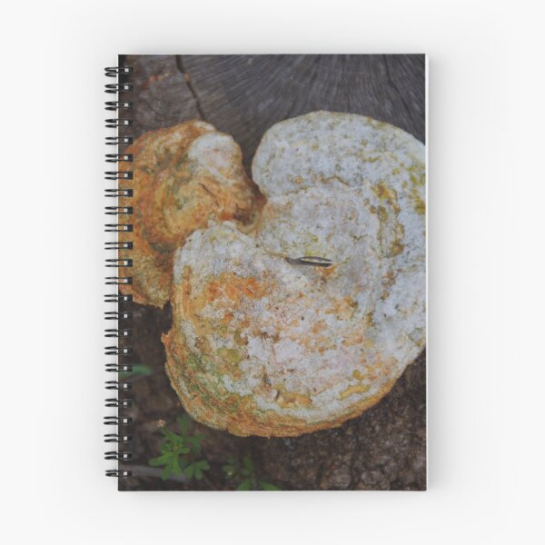 Item preview, Bracket Fungus In Don Shepherd designed and sold by lezvee.