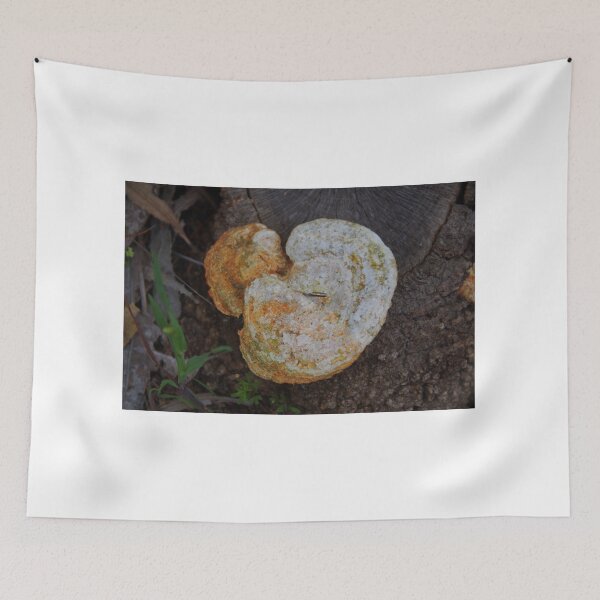 Item preview, Bracket Fungus In Don Shepherd designed and sold by lezvee.