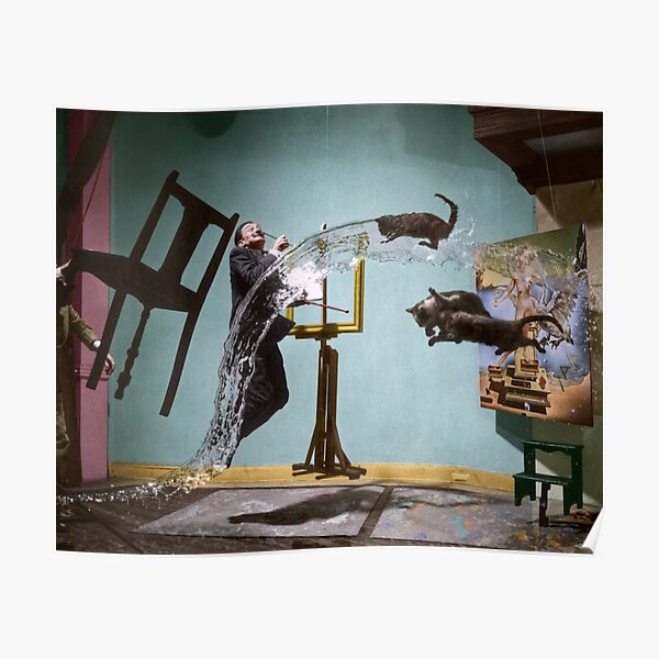 Flying Cats. Poster