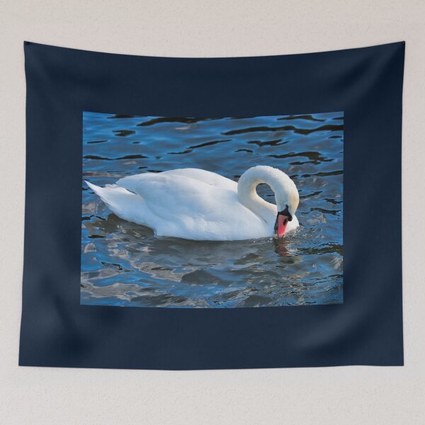 Item preview, Mute Swan on the River at Chard Somerset designed and sold by Dorset Girl.