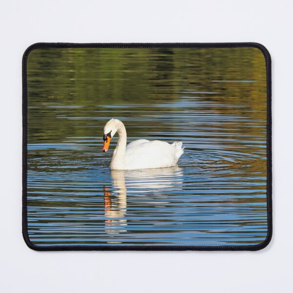 Item preview, Mute Swan on the River at Chard Somerset designed and sold by Dorset Girl.