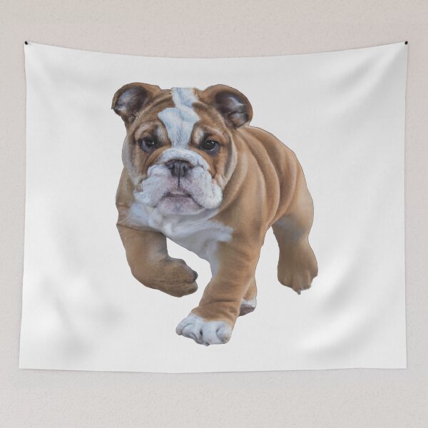 Item preview, British bulldog puppy illustration designed and sold by betes-etranges.