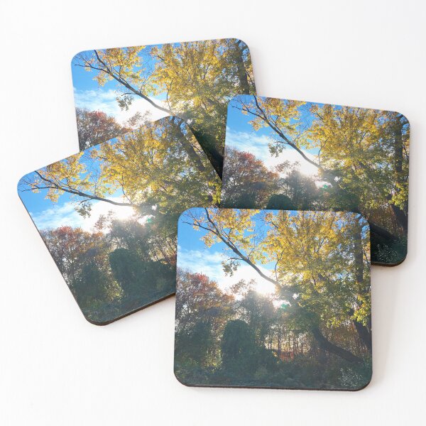 Item preview, Sun Peaks Through Autumn Woods designed and sold by withEphoto.