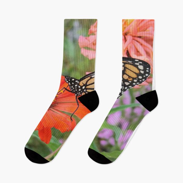 Aperçu de l'œuvre Papillon monarque parmi les fleurs oranges créée et vendue par Alyssa Gruenwald.