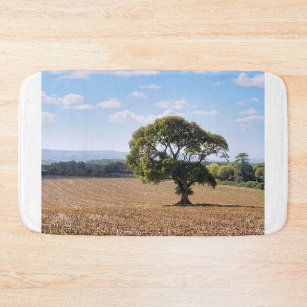 Item preview, Lone Tree in a Harvested Field near Chard Somerset designed and sold by Dorset Girl.