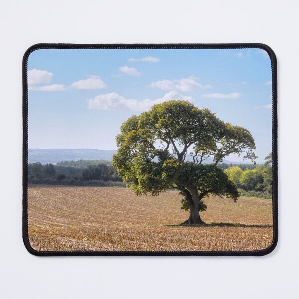 Item preview, Lone Tree in a Harvested Field near Chard Somerset designed and sold by Dorset Girl.