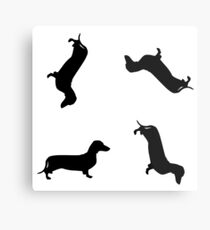Dachshund Metal Print