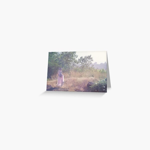 A Journey Into Strange Lands Greeting Card