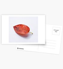 Rustic 2 Postcards