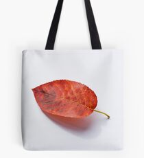 Rustic 2 Tote Bag