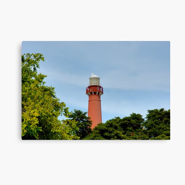 Old Barney - Barnegat Light House NJ - Behind the Trees Canvas Print