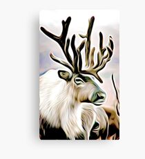 Reindeer Canvas Print