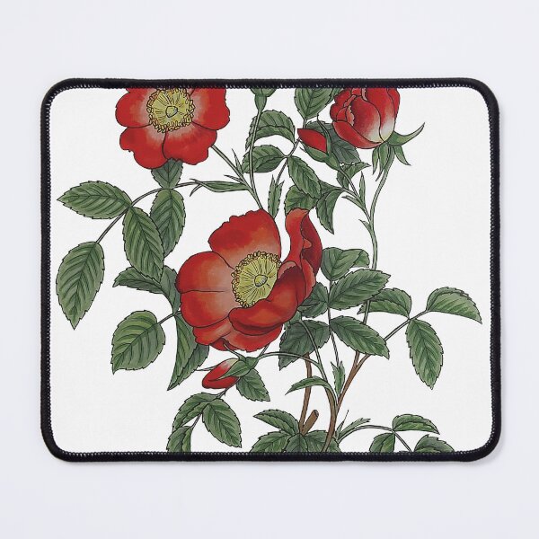 Item preview, Creeping French Rose designed and sold by B-d-t.