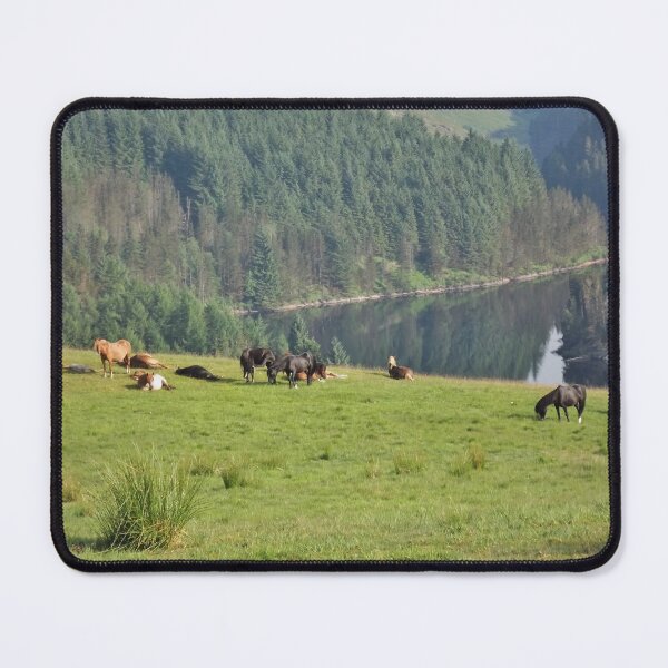 Item preview, Ponies by a lake designed and sold by Joanne Babb.