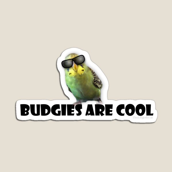Budgies Are Cool Magnet