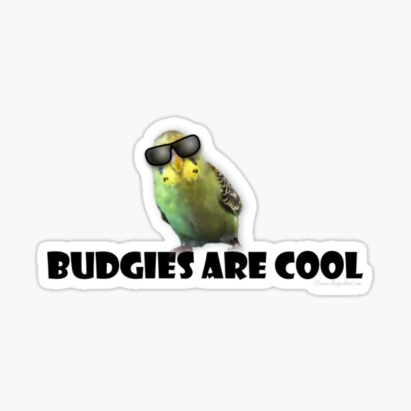 Budgies Are Cool Sticker