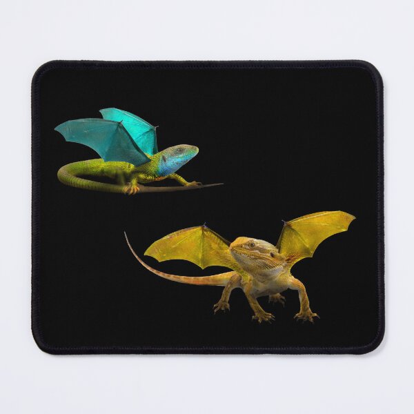 Item preview, Yellow and Blue Dragon designed and sold by Elizabeth's Music & Arts.