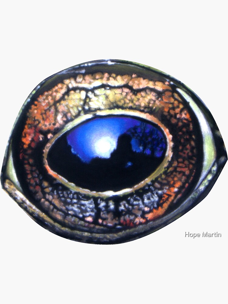 Reflections in a frog's eye by Hopemartinart