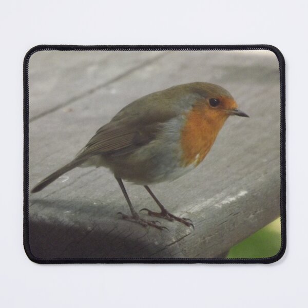 Item preview, Robin designed and sold by Joanne Babb.