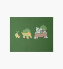Turtwig Evolution Art Board