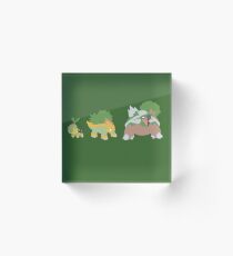 Turtwig Evolution Acrylic Block
