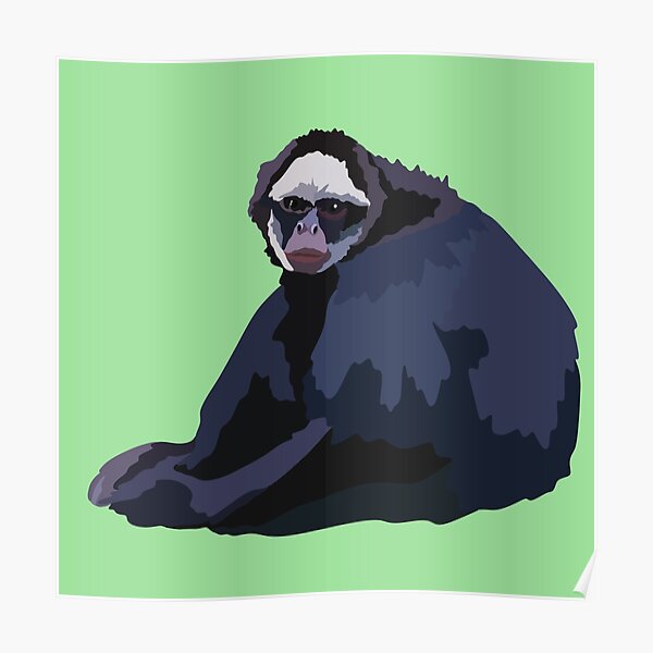 "W is for White Cheeked Spider Monkey " Poster for Sale by thezoogirl
