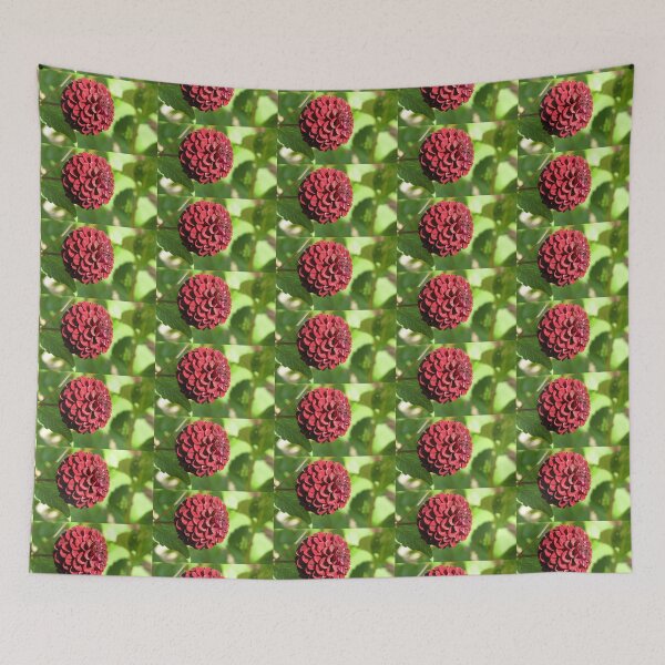 Item preview, Beautiful Burgundy Dahlia - Nuit d'Ete designed and sold by BlueMoonRose.