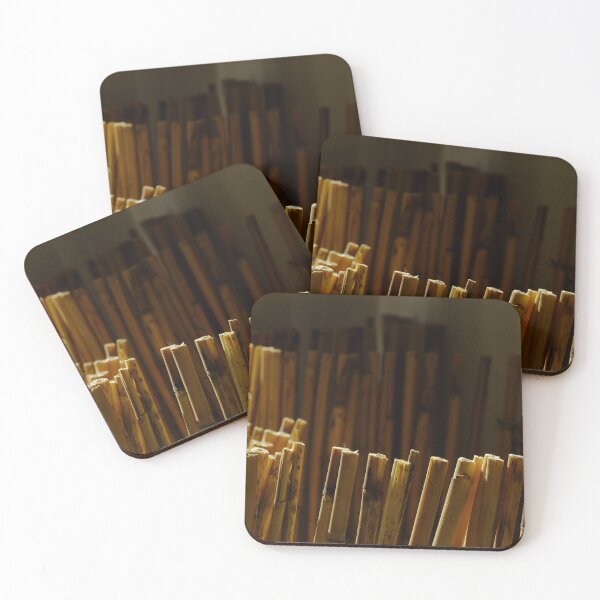Item preview, Bamboo stalks in the light of the setting sun designed and sold by ConcretAbstrakt.