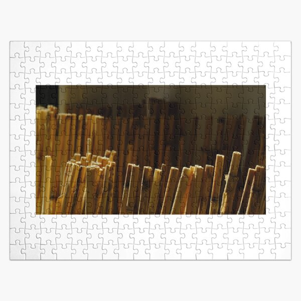 Item preview, Bamboo stalks in the light of the setting sun designed and sold by ConcretAbstrakt.