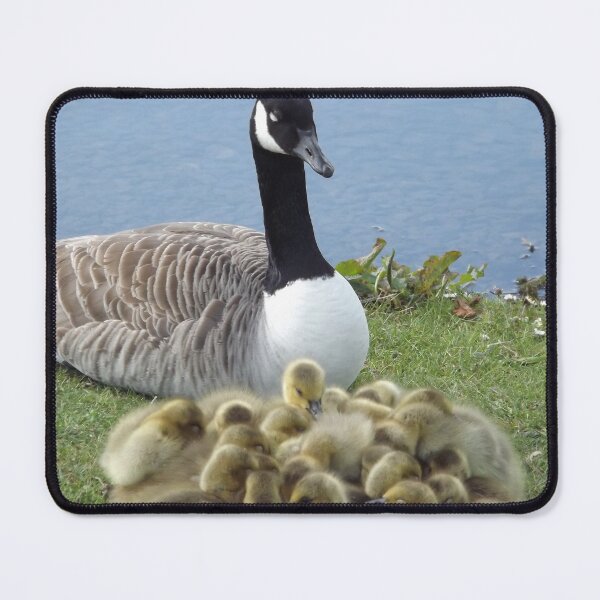 Item preview, The Nursery designed and sold by Joanne Babb.