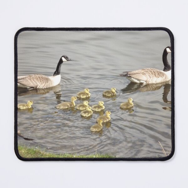 Item preview, Swimming lessons designed and sold by Joanne Babb.