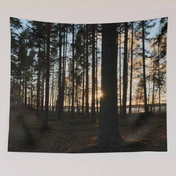 Item preview, Evening lights at Pyhaniemi designed and sold by Jouko Lehto Photography.