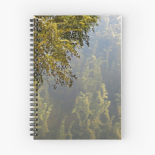 Item preview, Depth's designed and sold by Diane Arndt.