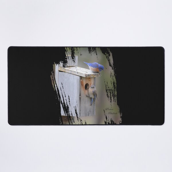 Item preview, Western Bluebirds designed and sold by Whisperingpeaks.