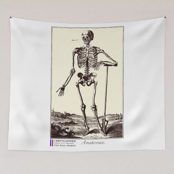 Item preview, Skeleton Encyclopedia 1762 designed and sold by 3-Petits-Lapins.
