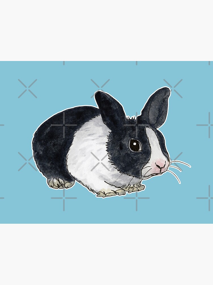 Lapin nain noir et blanc Poster