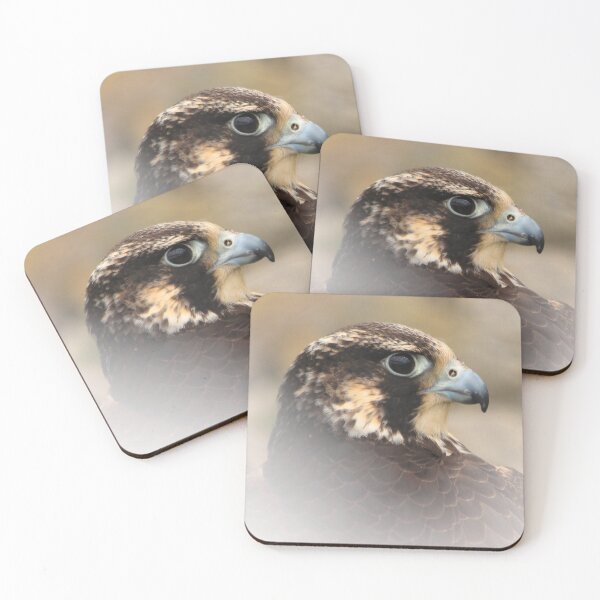 Item preview, Vignetted Profile of a Peregrine Falcon designed and sold by walkswithnature.